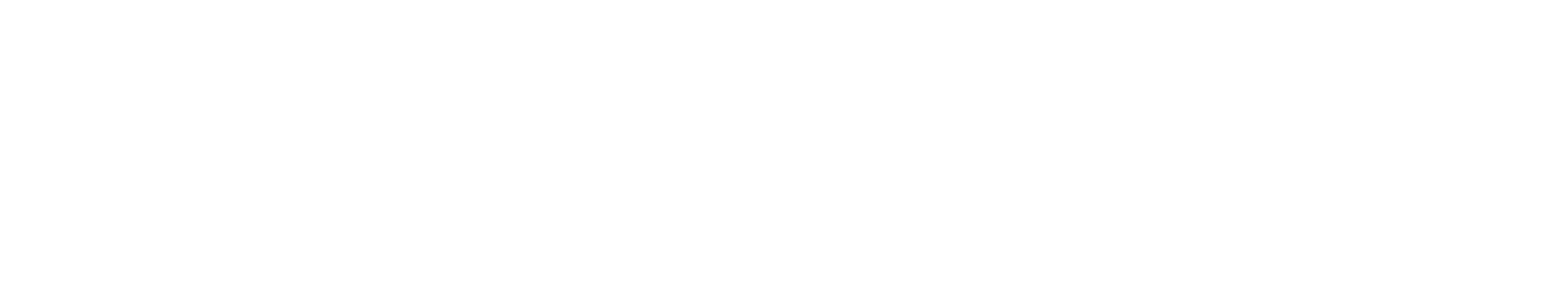 Electrik Dave